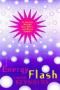 Energy Flash (BOOK)